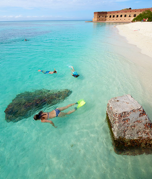 Dry Tortugas - Marketing Agency