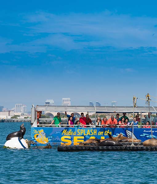 tourism advertising