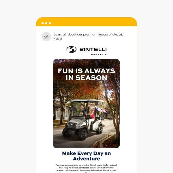 Bintelli email 01